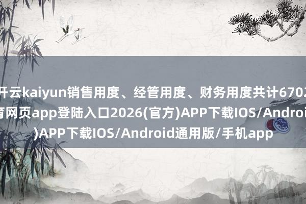 开云kaiyun销售用度、经管用度、财务用度共计6702.01万元-kai云体育网页app登陆入口2026(官方)APP下载IOS/Android通用版/手机app